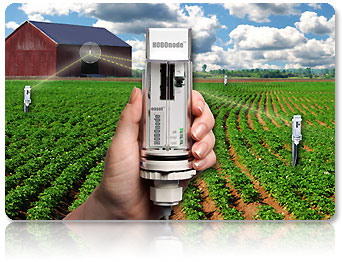 HOBO node溫度/土壤濕度無線傳感器